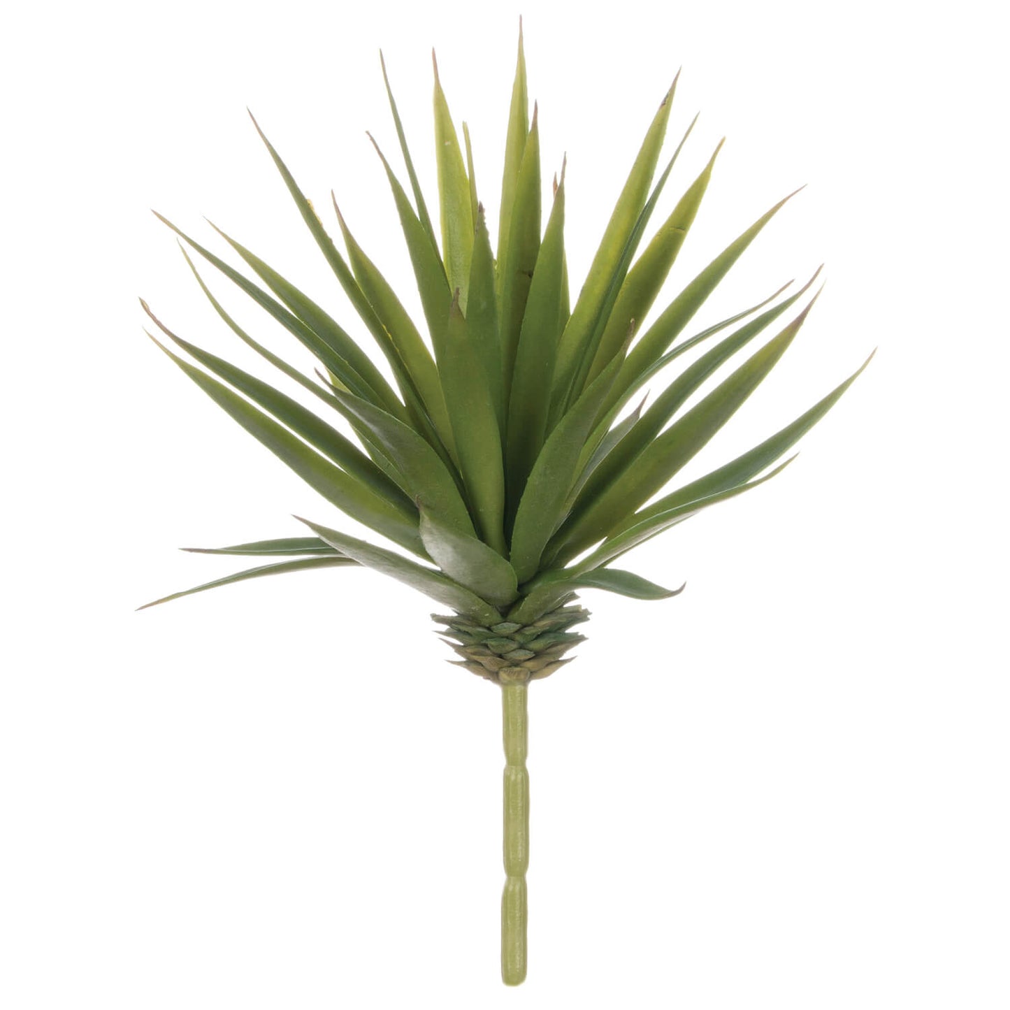 Marginata Succulent Pick