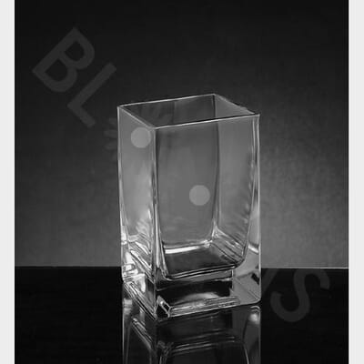 Small Square Glass Vase (6"H x 4" x 4")