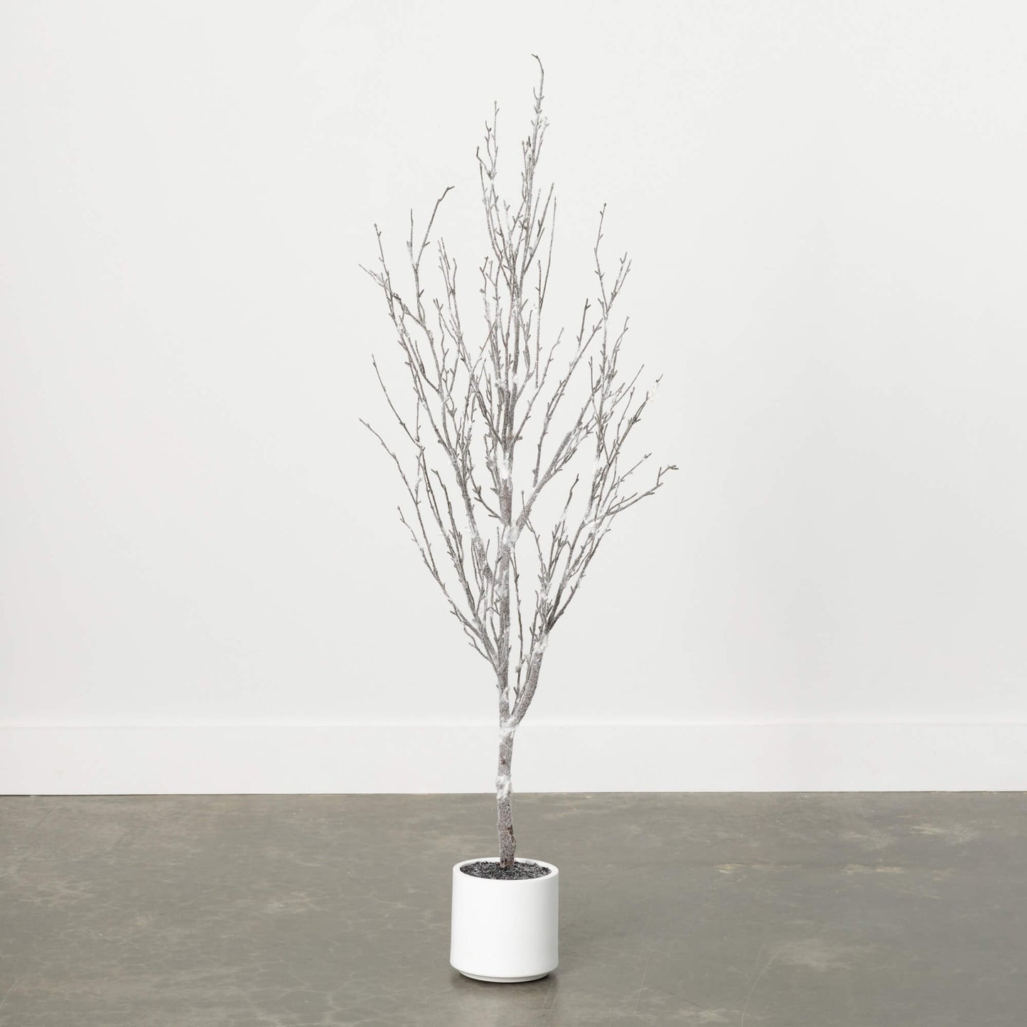 5' Flocked Bare Birch Tree