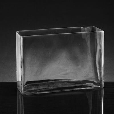Xlarge Rectangle Glass Vase (8"H x 12" x 4")