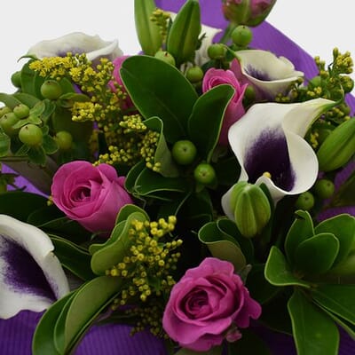 Premium Gift Bouquet Purple & White Mellow