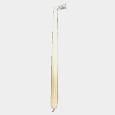 15" Patrician Taper Ivory (Qty 12)