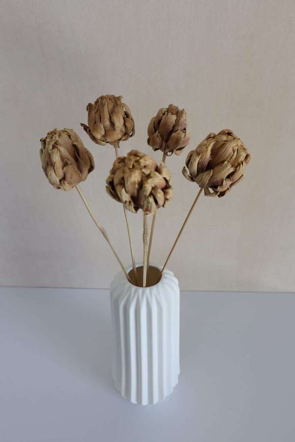 Dried Artichoke Stems