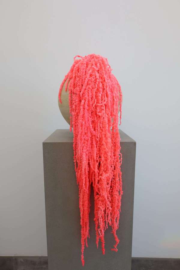 Hanging Amaranthus Bunch