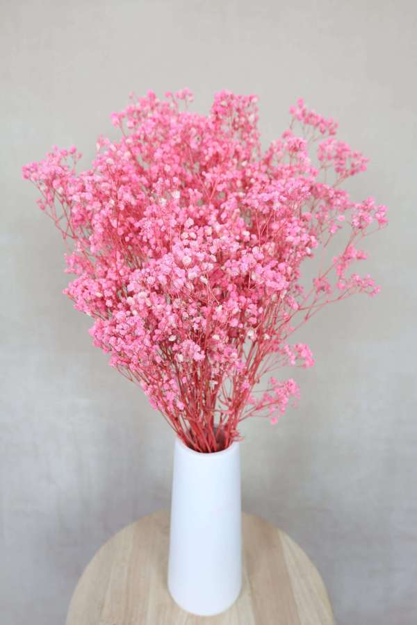 Dried Baby's Breath