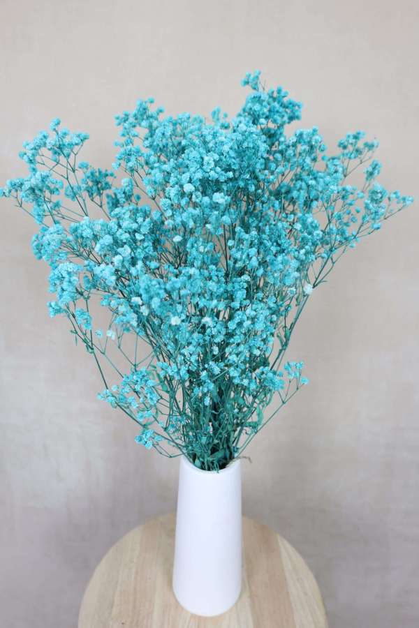 Dried Baby's Breath