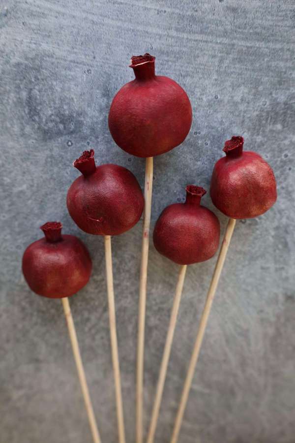 Dried Pomegranate Stems