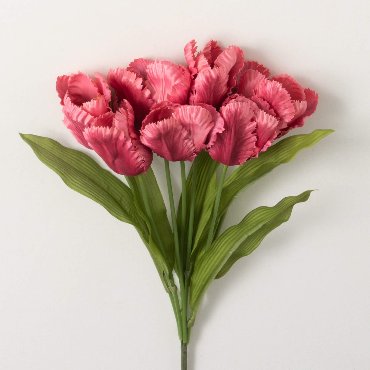 Dark Pink Tulip Bush