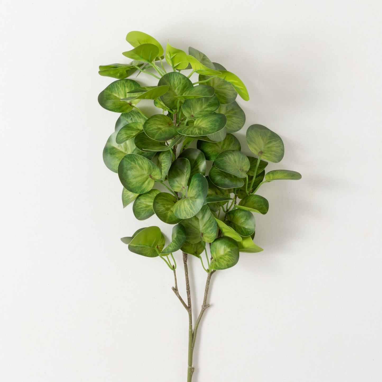 Green Ivory Leaf Spray