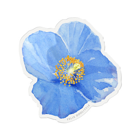 Blue Poppy Vinyl Sticker Felix Doolittle X Longwood Gardens