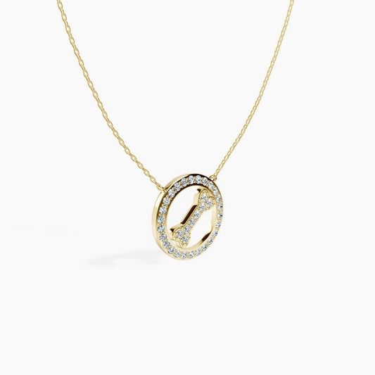 Halo Fetch Necklace