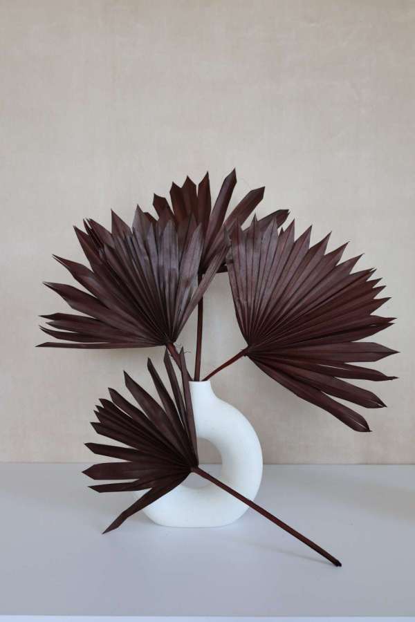 Dried Sun Palm Leaf Fans