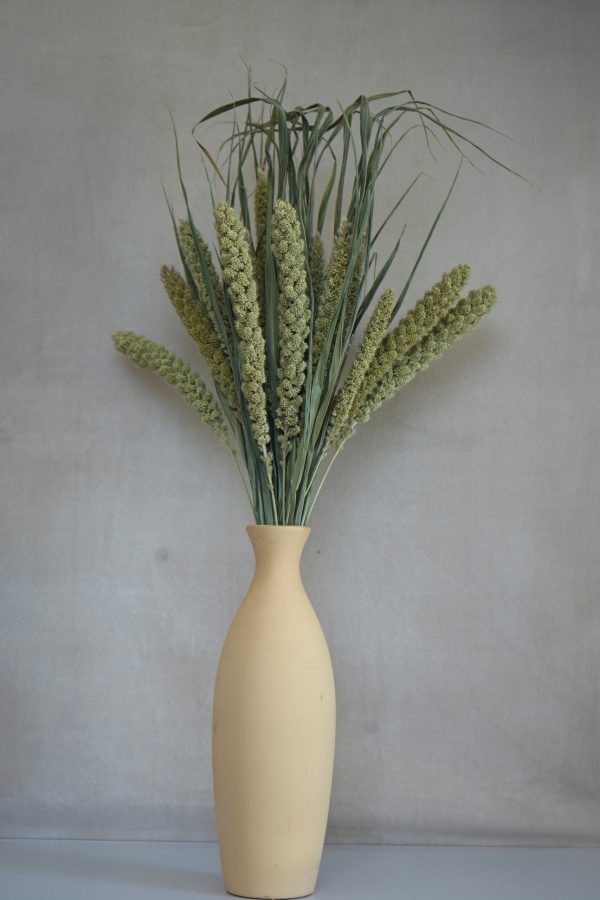 Dried Millet Grass