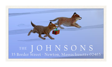 Express Delivery Panoramic Return Address Labels