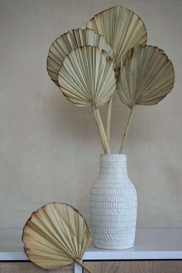 Dried Palm burnt Leaf Fans