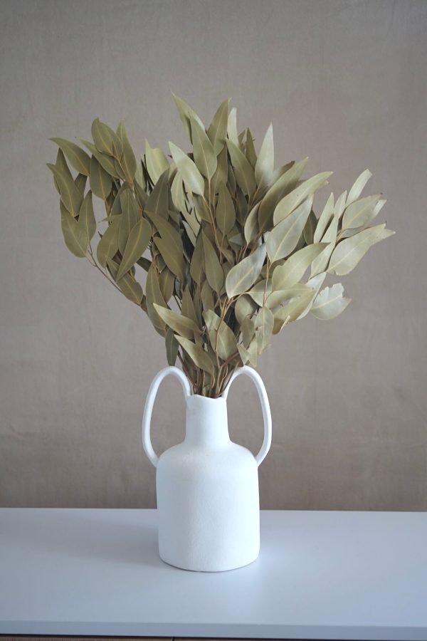 Dried Eucalyptus Willow Bush