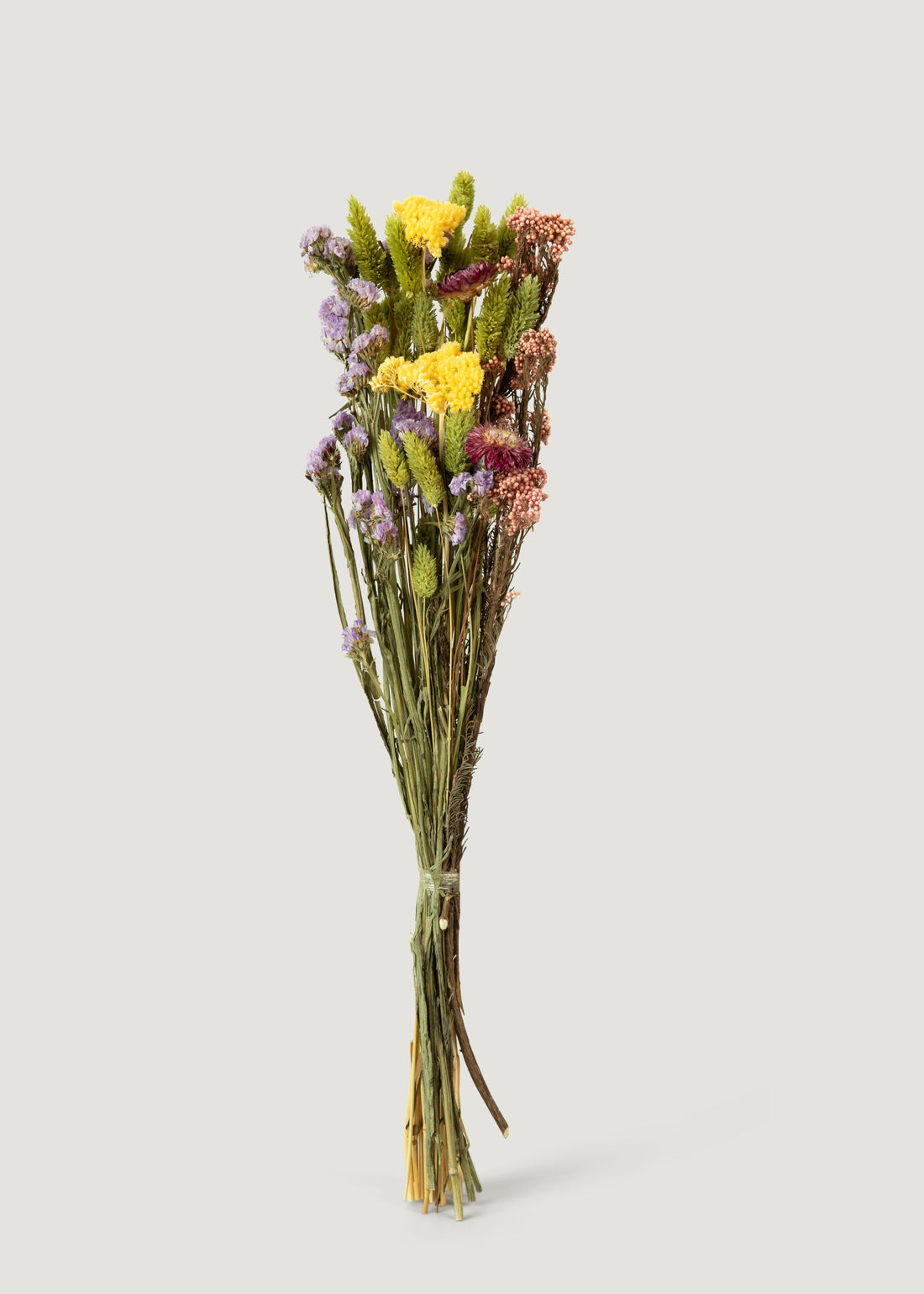 Dried Flowers - 10%OFF YOUR FIRST ORDER