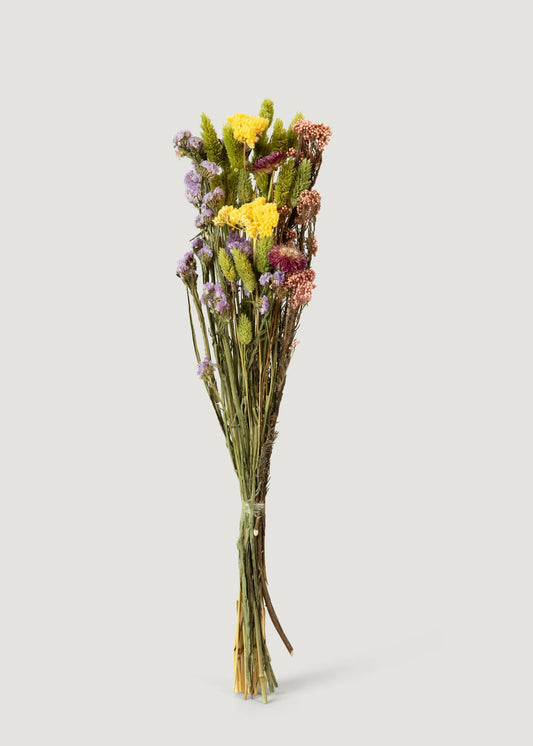 Dried Flowers - 10%OFF YOUR FIRST ORDER