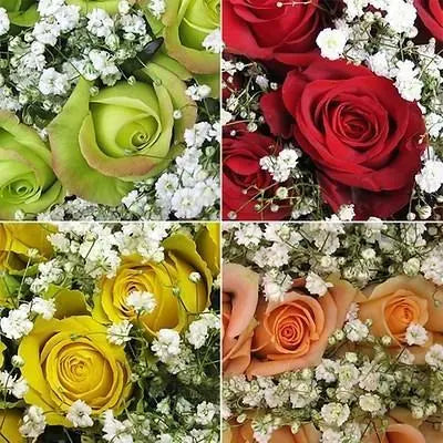 20 Half Dozen Rose Bouquets
