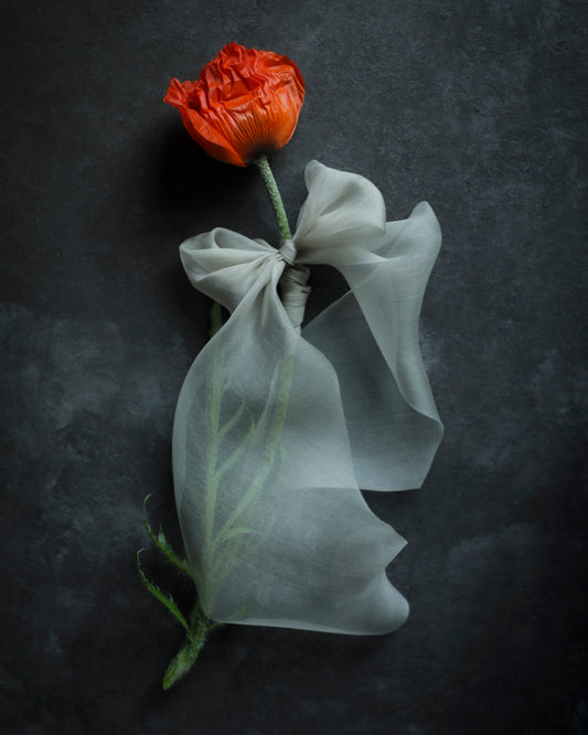 Dove {Lightweight Organza} Silk Ribbon