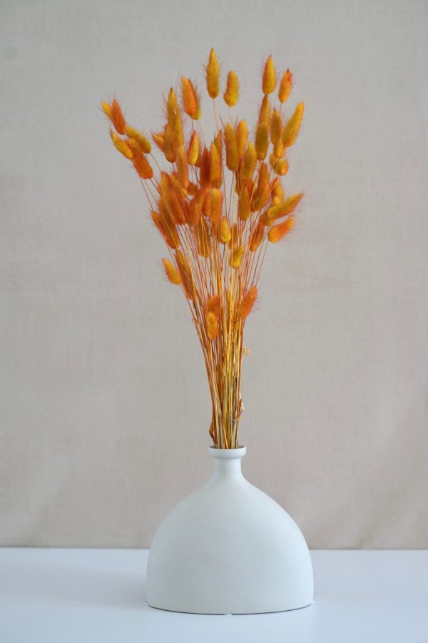 Harvest Lagurus Flowers