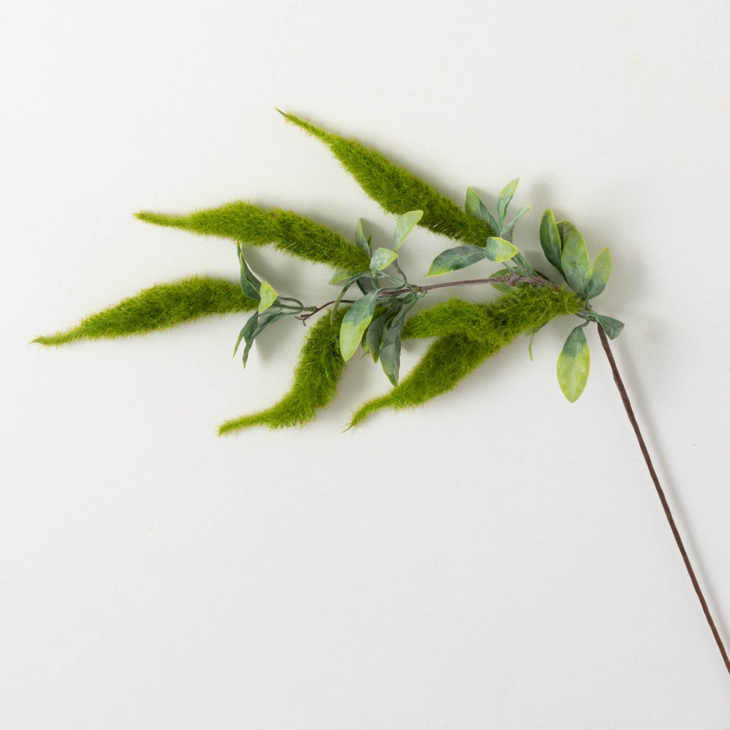 Green Amaranthus Spray