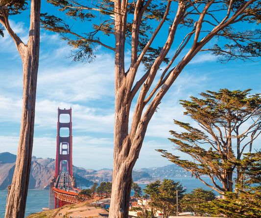 Golden Gate Club Wedding Package