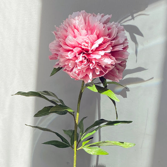 Gweneth Peony Paper Flowers