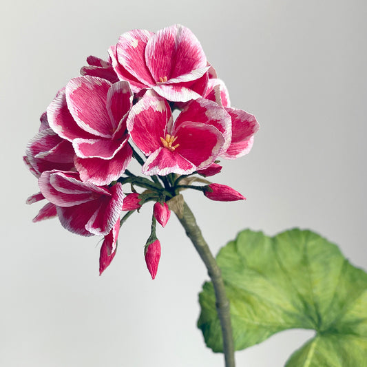 Geranium Flower Paper Flowers