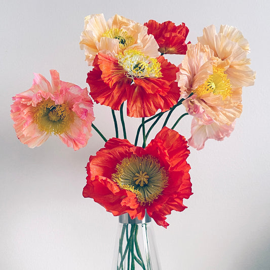 Icelandic Poppy Paper Flowers