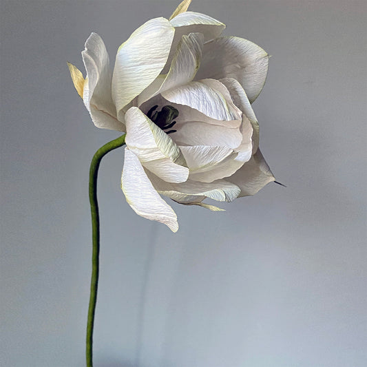 Exotic Emperor Tulip Paper Flowers