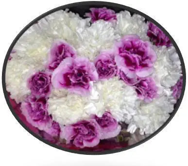 Carnation Flower Bouquets 12