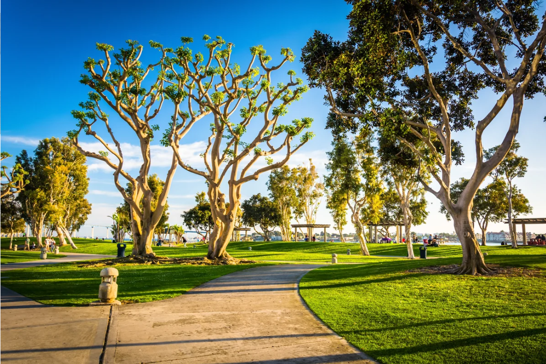 Classic Wedding Package in San Diego