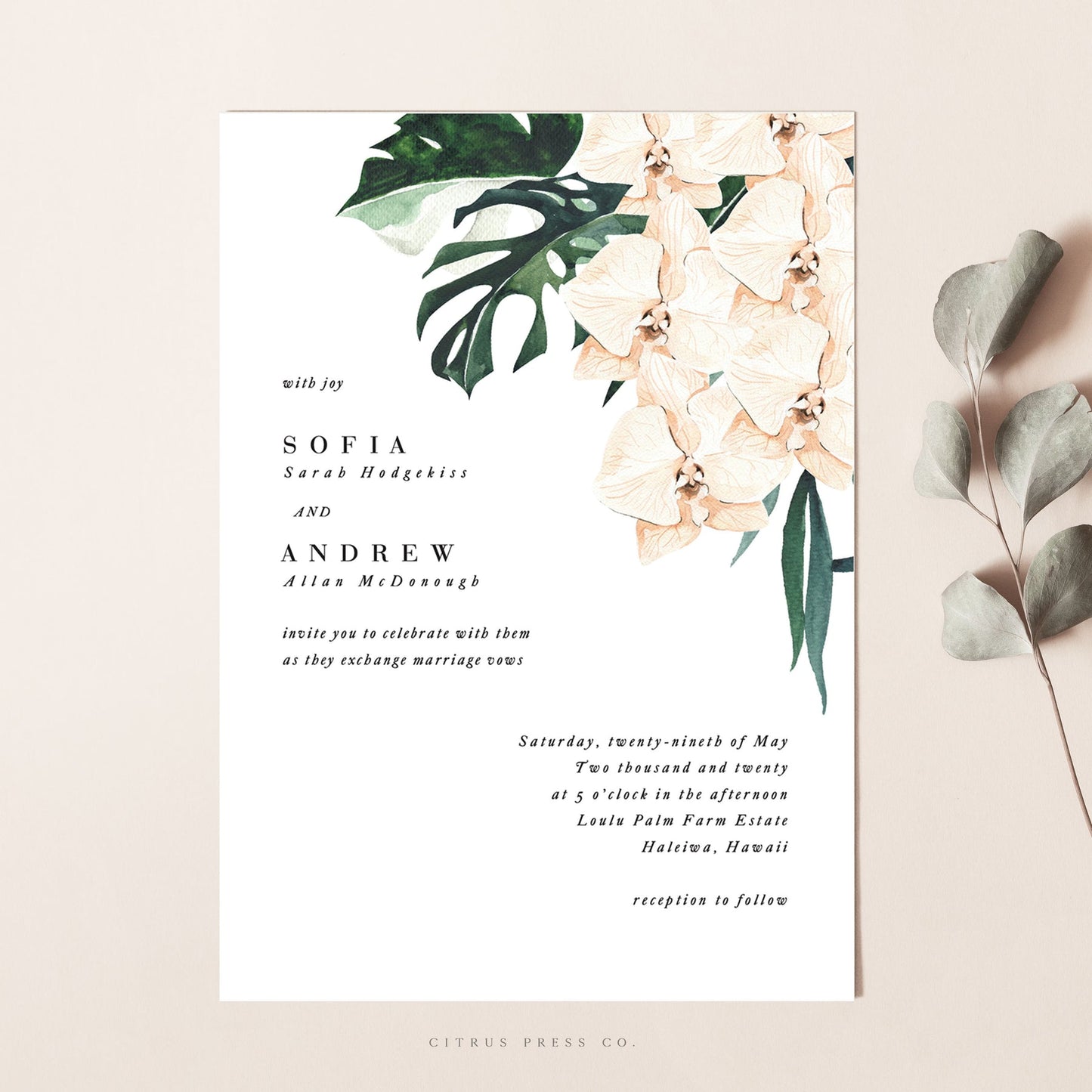 Tropical White Orchid Wedding Invitation | Sofia