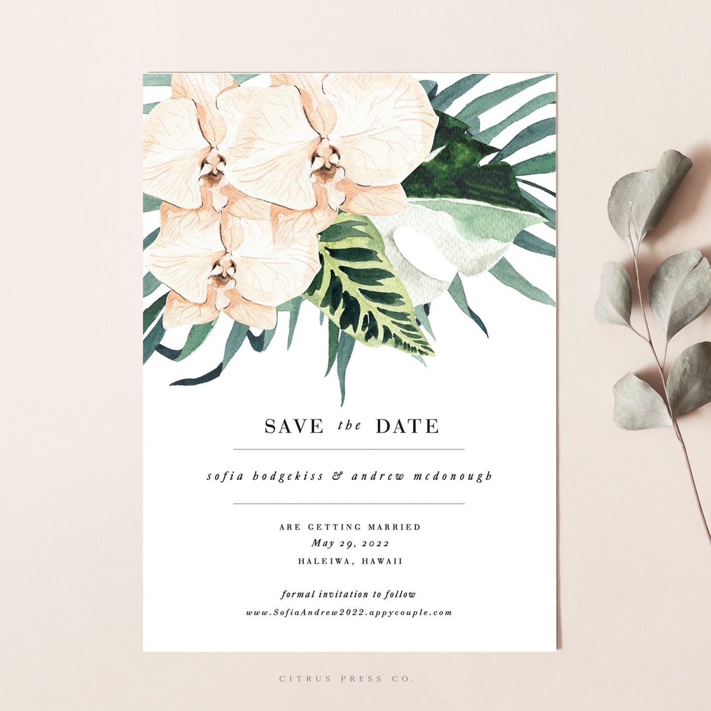 Tropical Orchid Save The Date | Sofia
