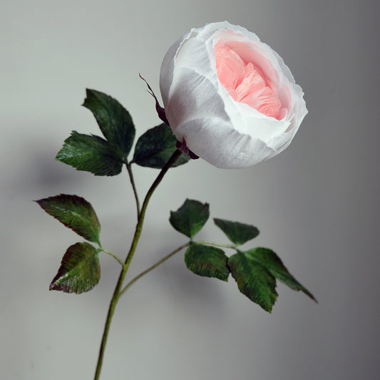 Earth Angel Rose Paper Flowers
