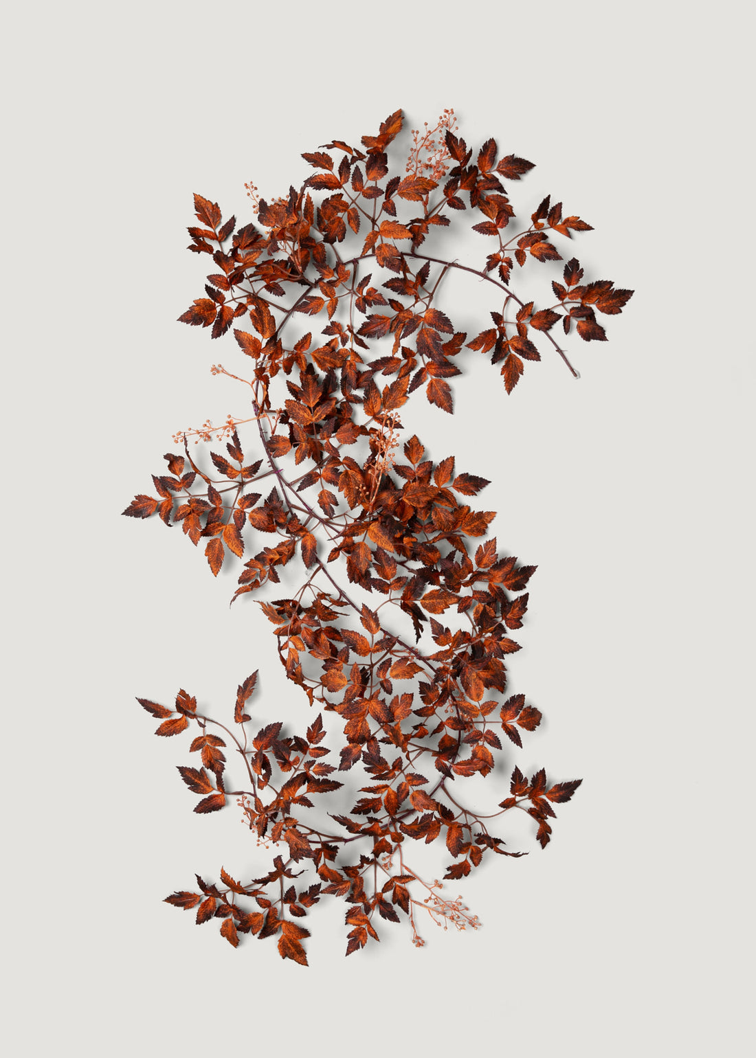 SALE - Afloral Brown Artificial Cimicifuga Seeded Garland - 6'
