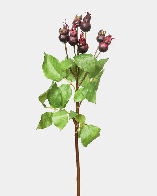 Artificial Montana Rose Hip 23.5"