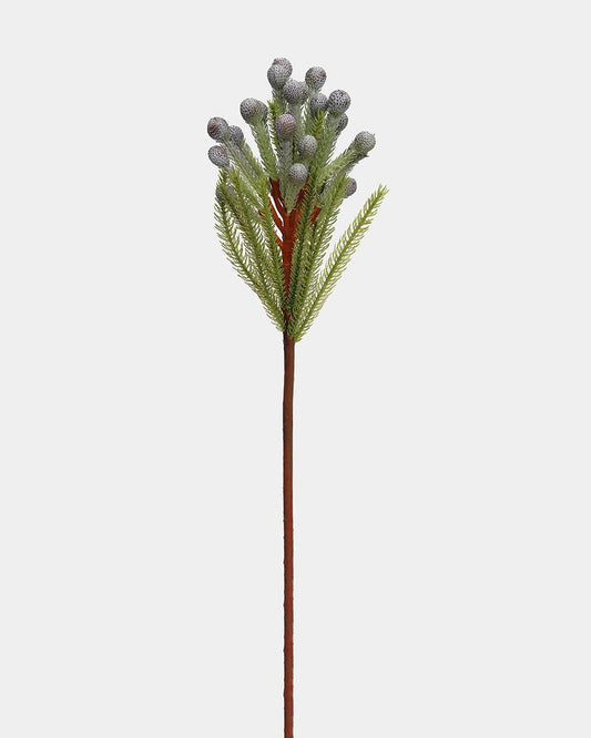 Faux Silver Brunia Stem 24"