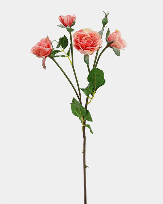 Sunset Coral Floribunda Roses 19"