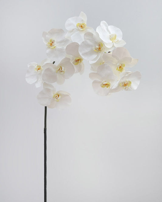 Large White Orchid Phalaenopsis 34"