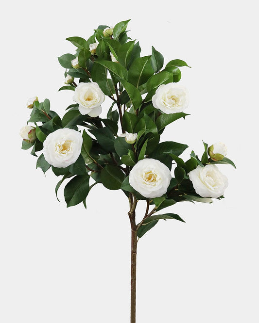 Large White Camellia Flower Bush 44"