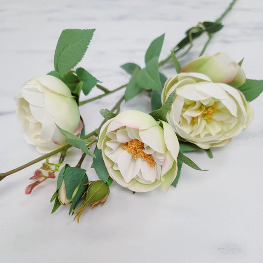 Garden Rose | Single Stem