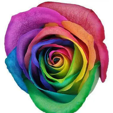 Rainbow Roses, 100 stems