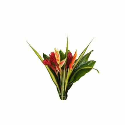 15 Tropical Flower Bouquets #5
