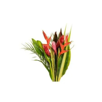 15 Exotic Tropical Flowers Bouquet