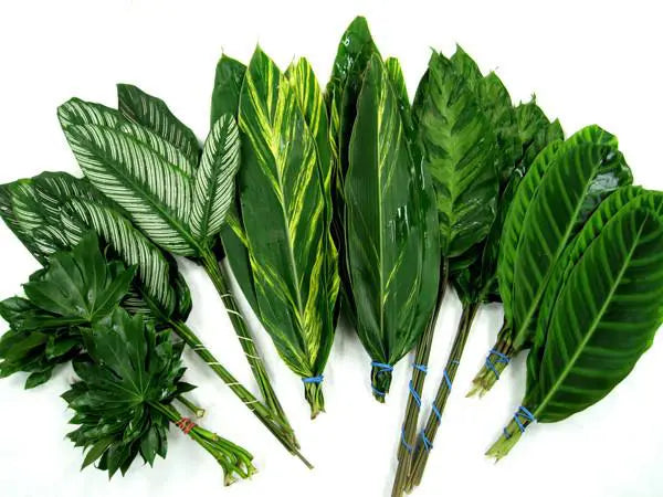 Tropical Fun Mix Foliage Combo Box
