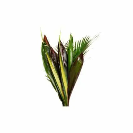 20 Exotic Tropical Foliage Bouquet