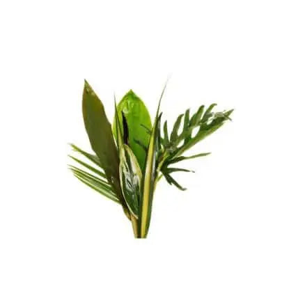 20 Tropical Leaves Bouquets