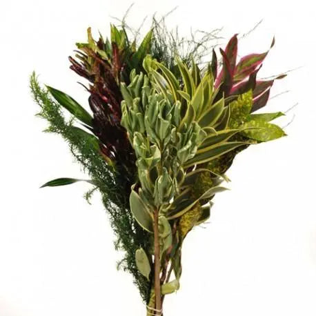 Tropical Mix Foliage 20 Bouquets